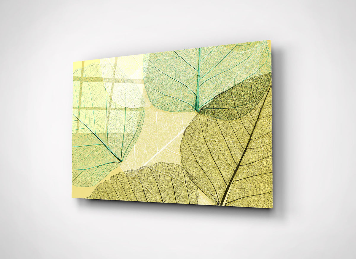 Green Skeleton Leaves Glass Wall Art close-up