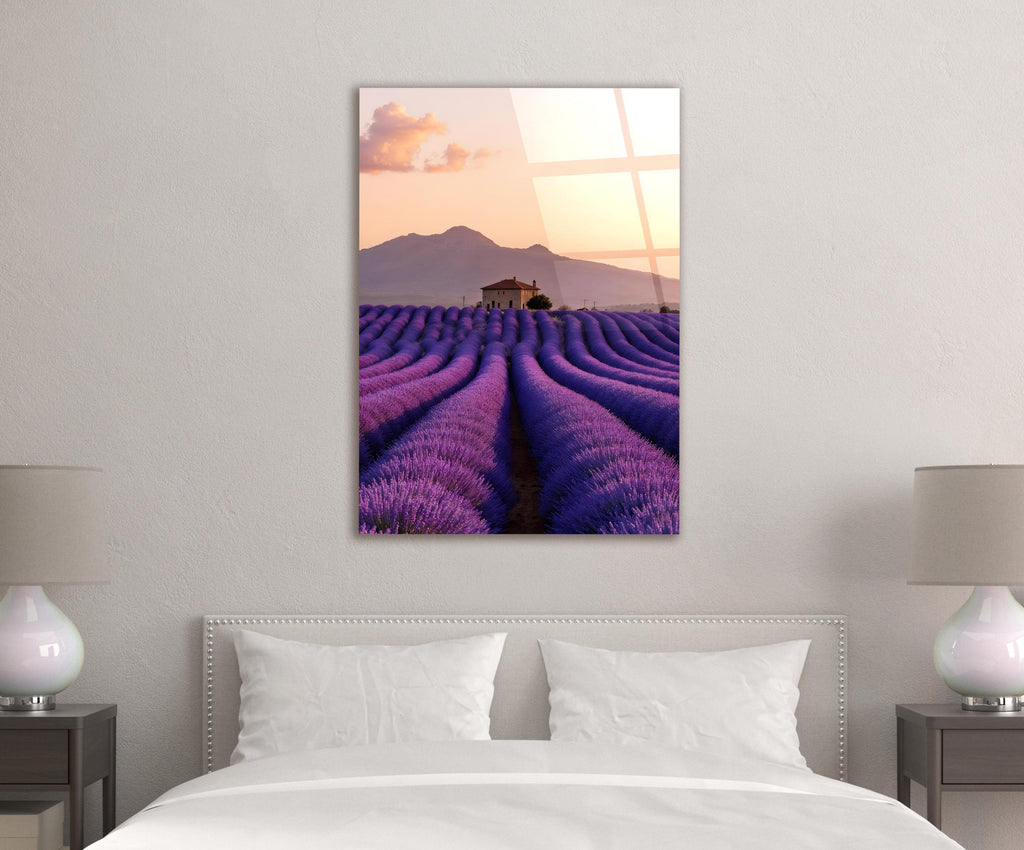 Provence Lavender Field at Sunset Glass Wall Art in a modern interior