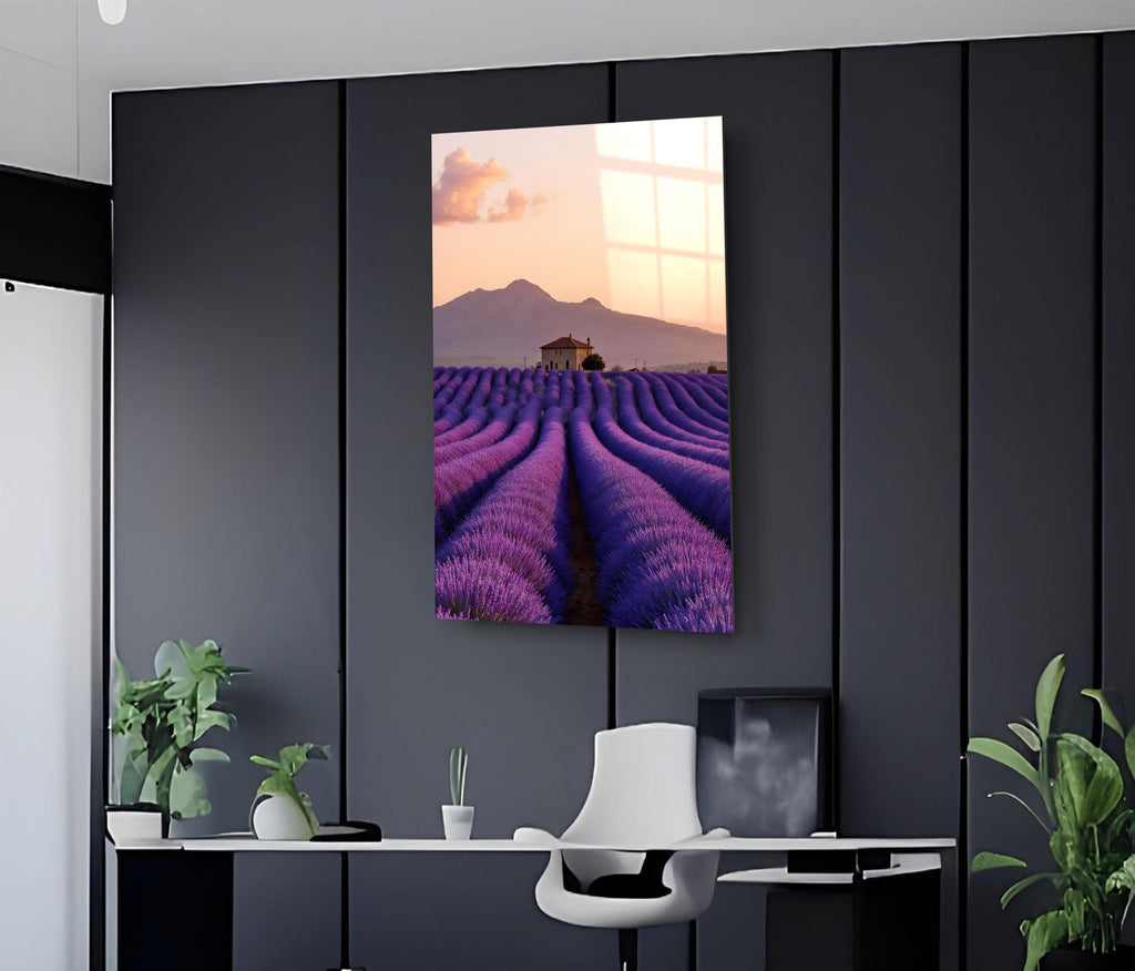 Provence Lavender Field at Sunset Glass Wall Art on the wall