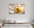 White Blossom Macro Glass Wall Art in a living room interior