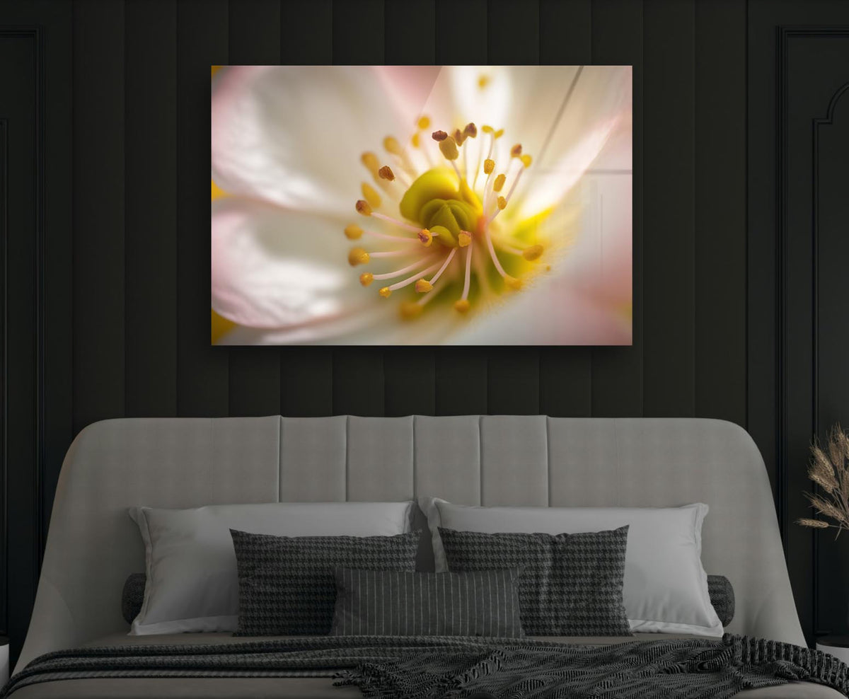 White Blossom Macro Glass Wall Art in a modern interior
