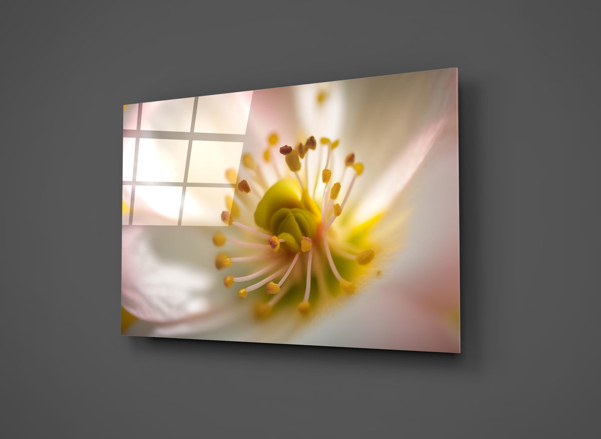 White Blossom Macro Glass Wall Art close-up