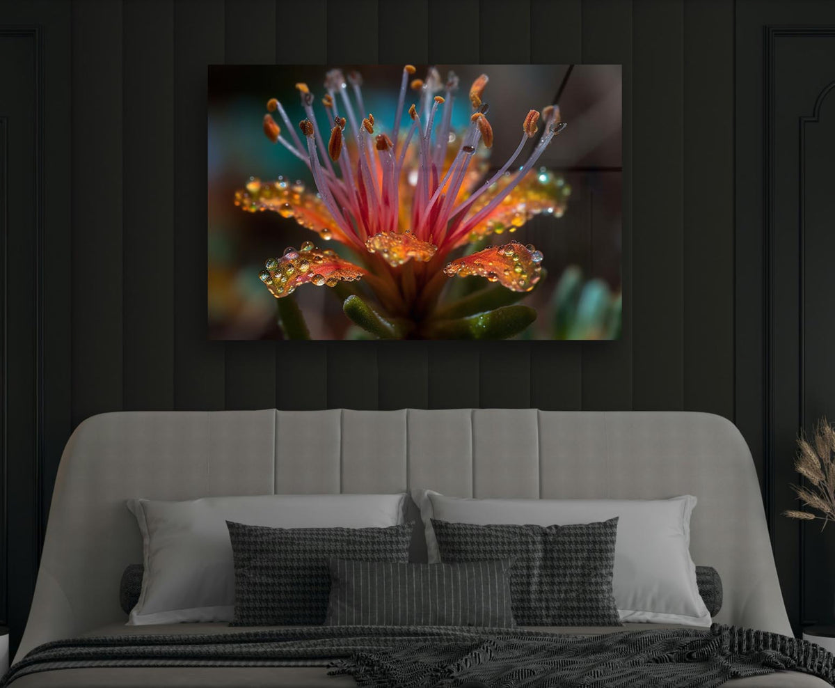 Dew-Kissed Exotic Flower Macro Glass Wall Art in a modern interior