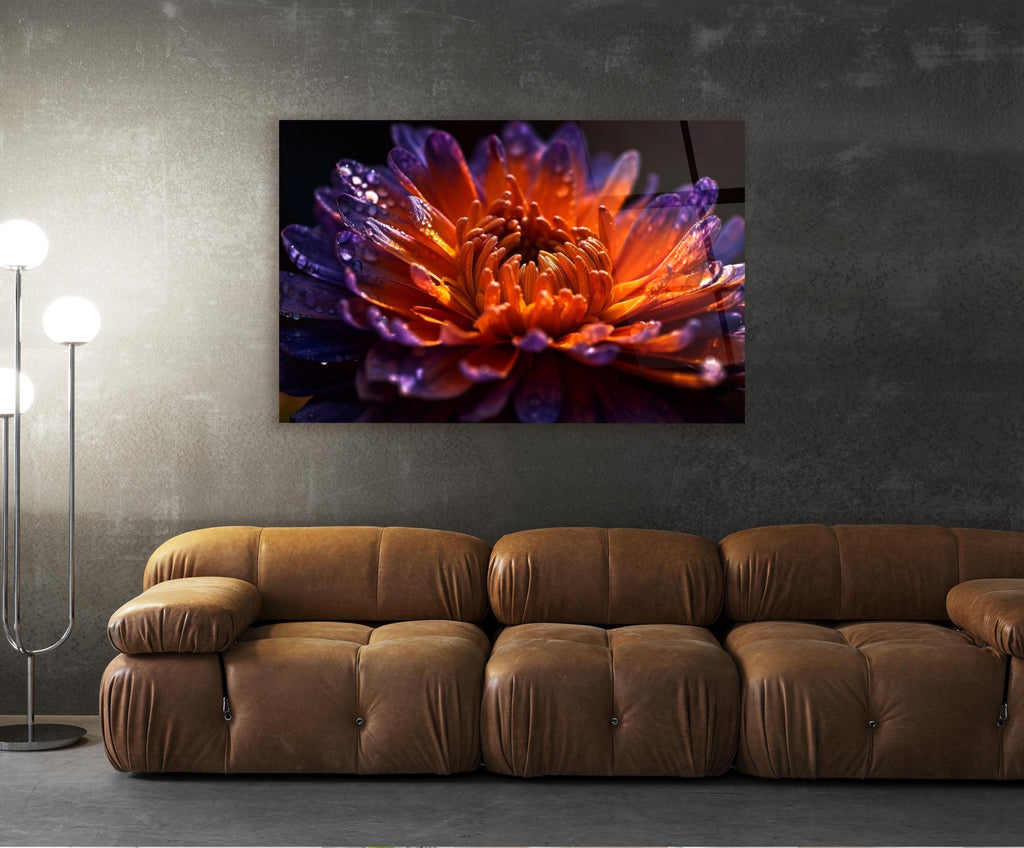 Fiery Orange Dahlia Macro Glass Wall Art in a living room interior