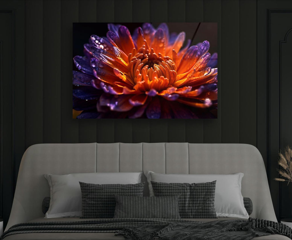 Fiery Orange Dahlia Macro Glass Wall Art in a modern interior