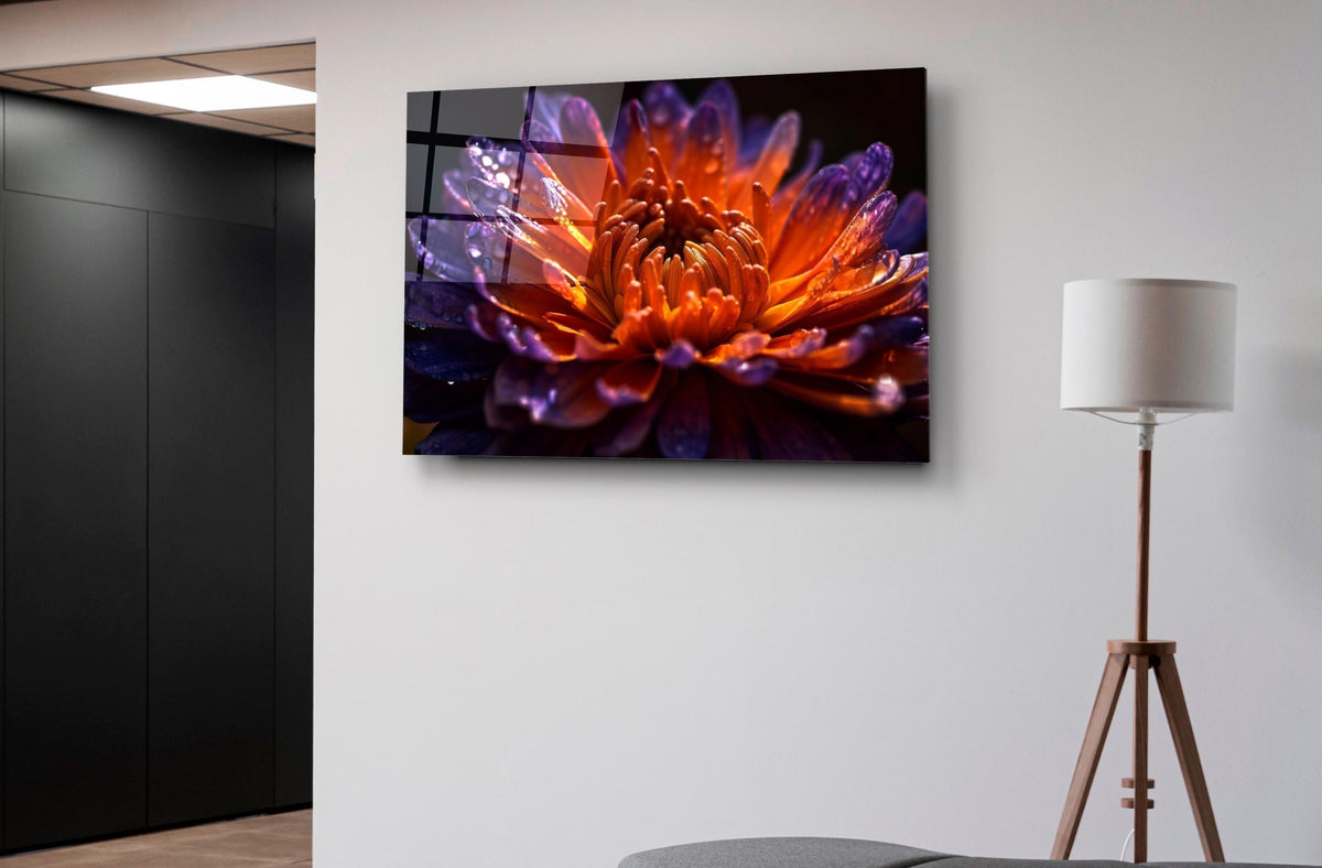 Fiery Orange Dahlia Macro Glass Wall Art on the wall