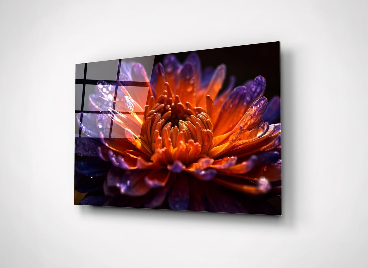 Fiery Orange Dahlia Macro Glass Wall Art close-up