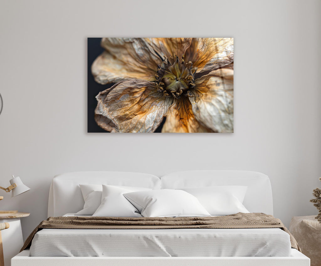 Dried Flower Macro Glass Wall Art in a living room interior