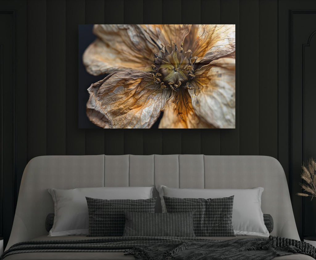 Dried Flower Macro Glass Wall Art in a modern interior