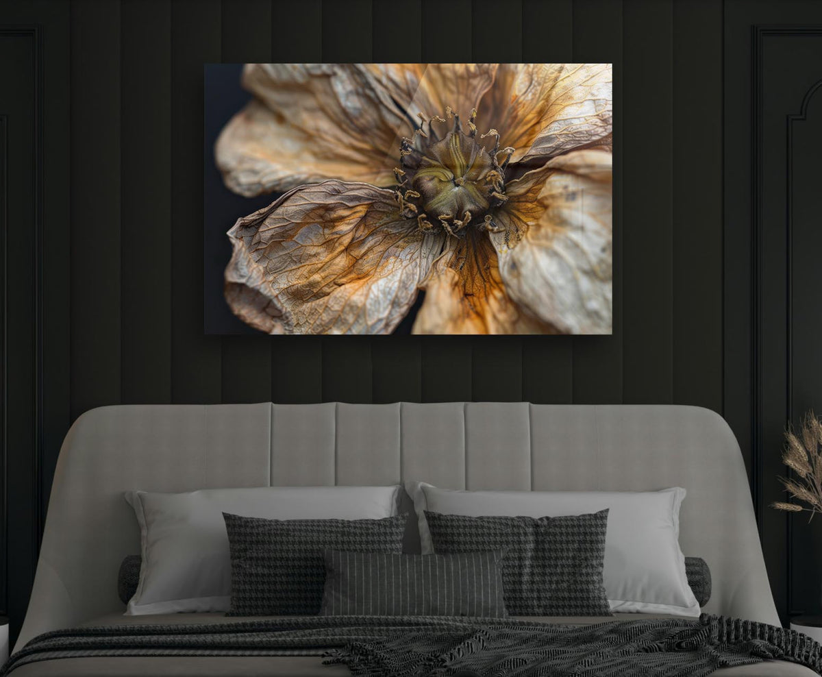 Dried Flower Macro Glass Wall Art in a modern interior