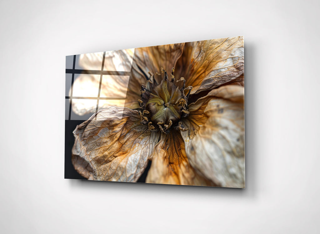 Dried Flower Macro Glass Wall Art close-up