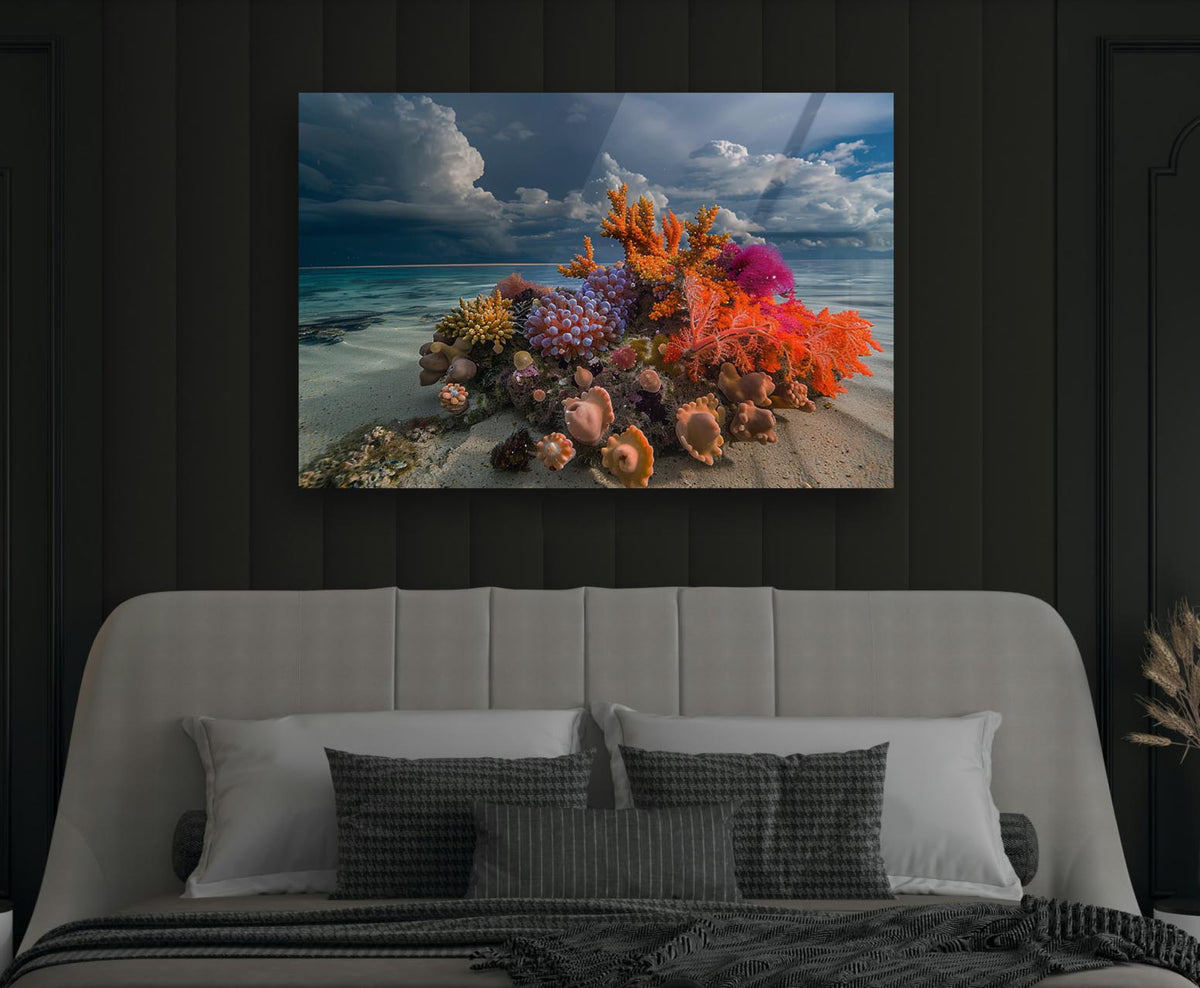 Tropical Coral Reef Beach Glass Wall Art in a modern interior