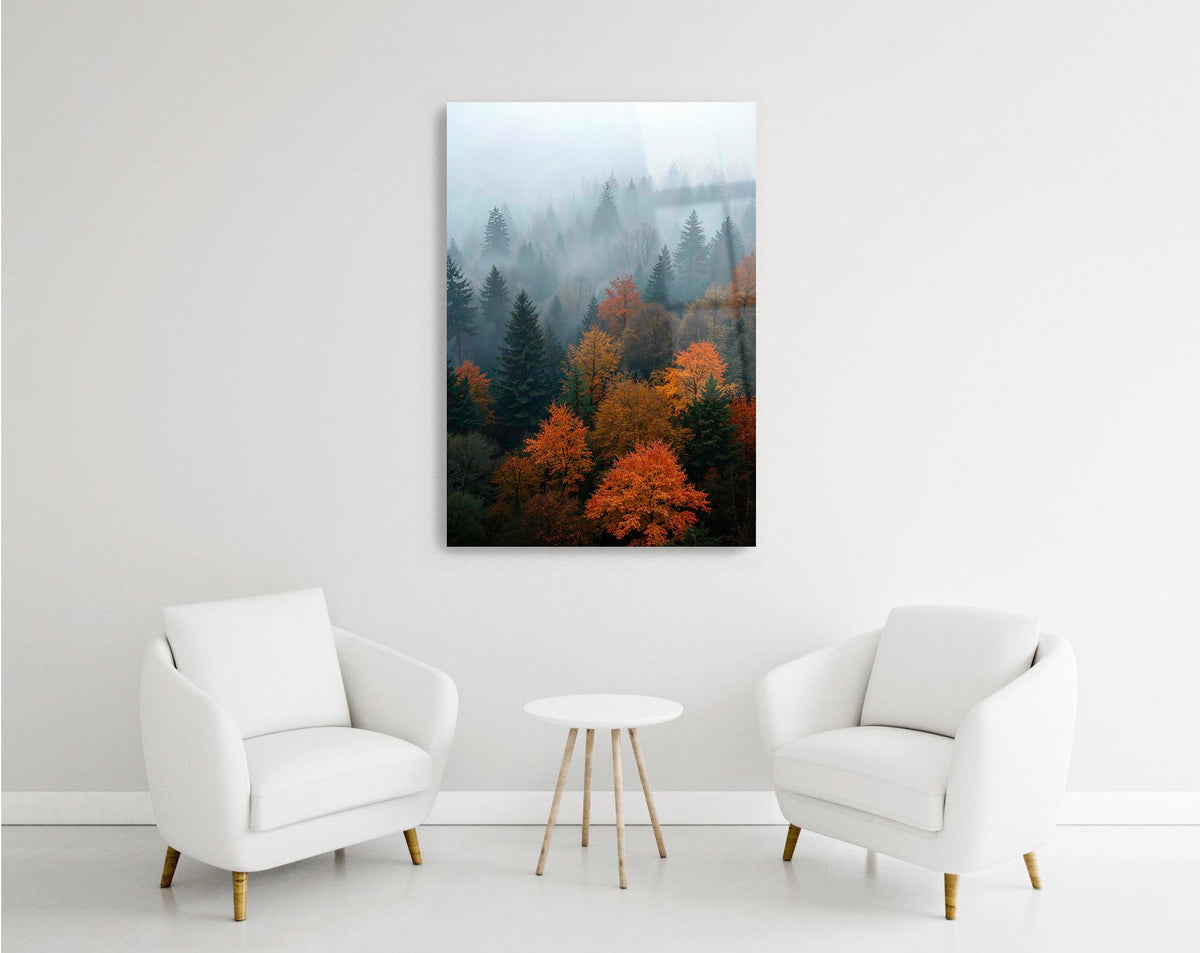 Misty Autumn Forest Glass Wall Art in a modern interior