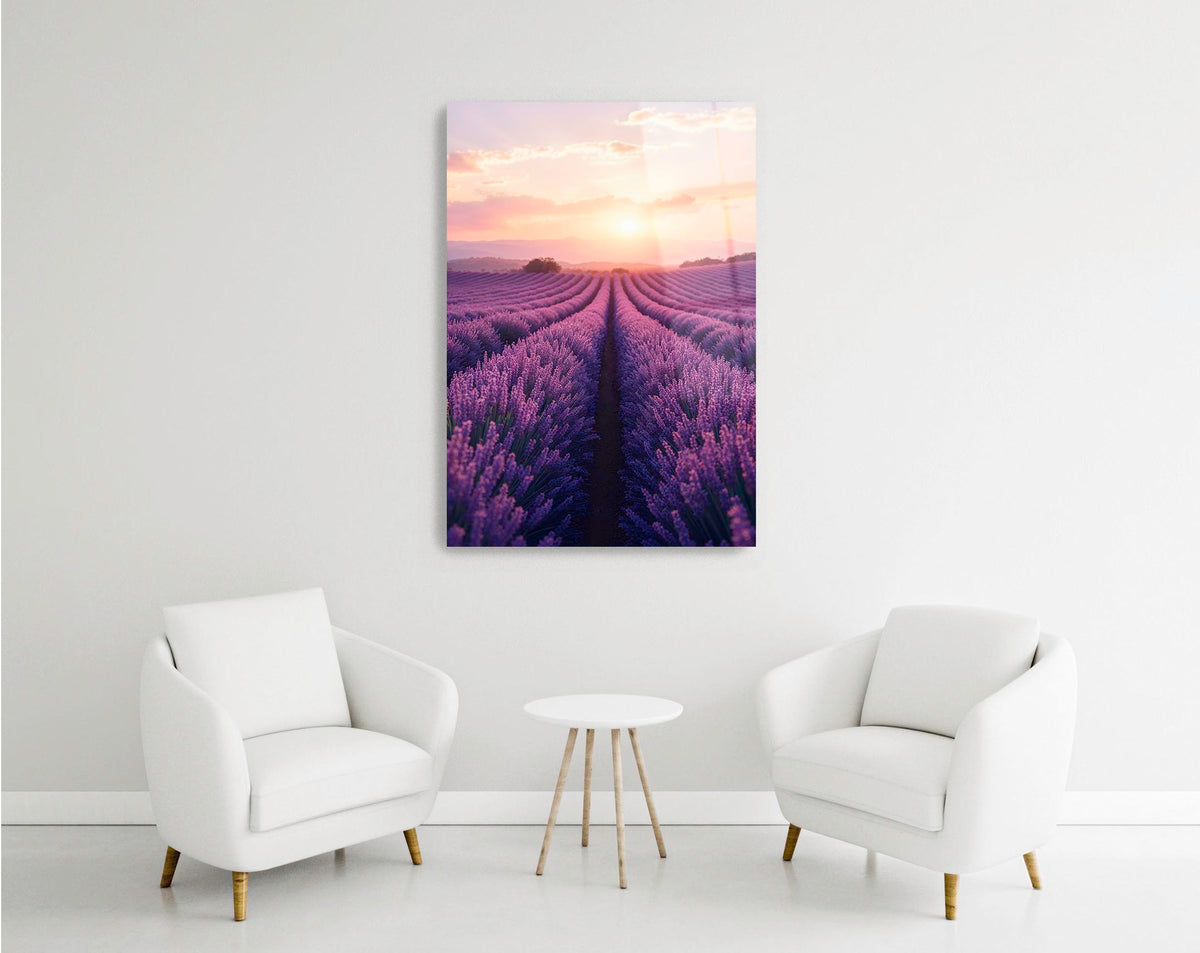 Lavender Field at Sunset Glass Wall Art in a modern interior