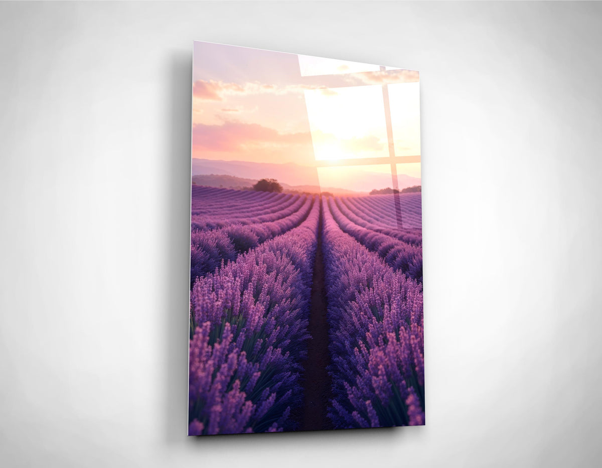 Lavender Field at Sunset Glass Wall Art on the wall