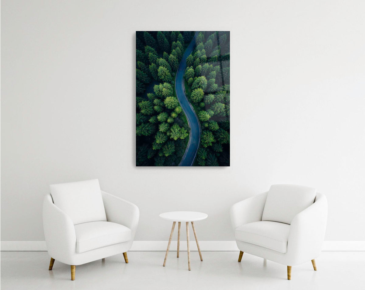 Winding Road Through Green Forest Glass Wall Art in a modern interior