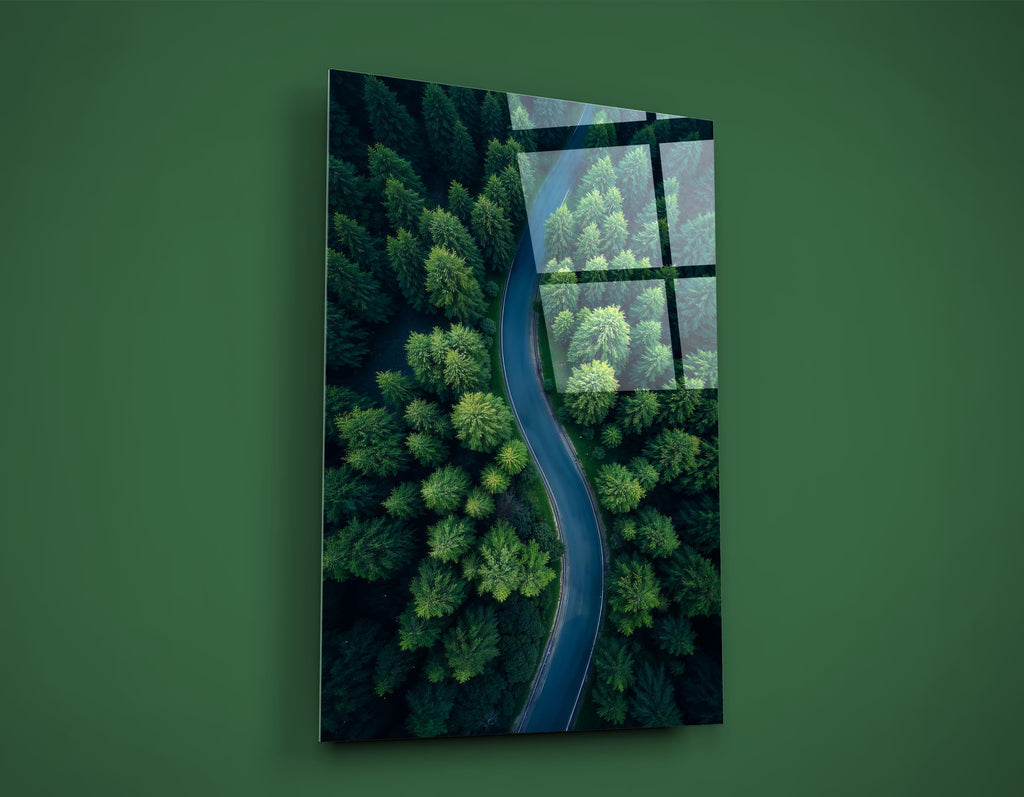 Winding Road Through Green Forest Glass Wall Art on the wall