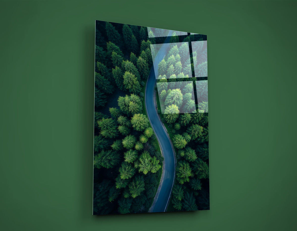 Winding Road Through Green Forest Glass Wall Art on the wall