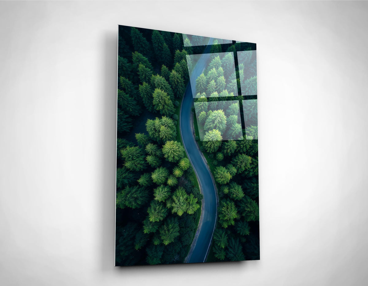 Winding Road Through Green Forest Glass Wall Art close-up