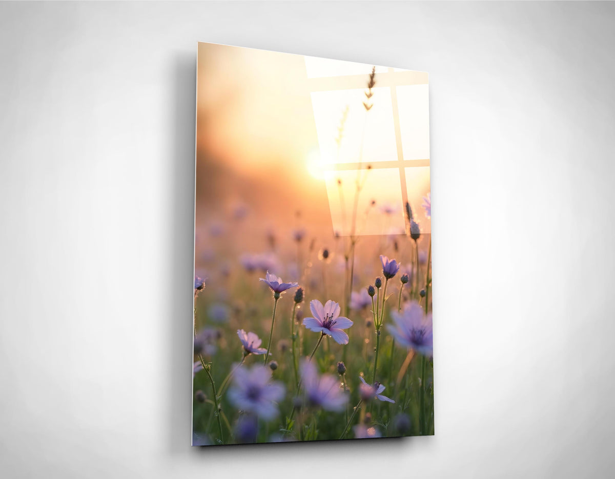 Wildflower Meadow at Sunset Glass Wall Art on the wall