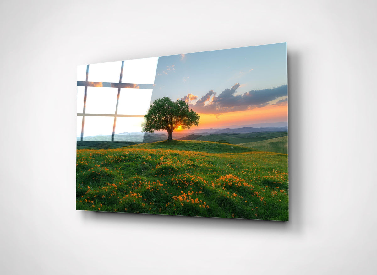 Lone Tree on Sunset Meadow Glass Wall Art on the wall