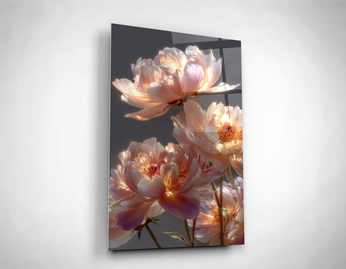 Glowing Peach Peonies Glass Wall Art close-up