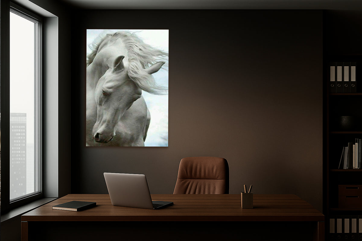 White Horse Flowing Mane Glass Wall Art on the wall
